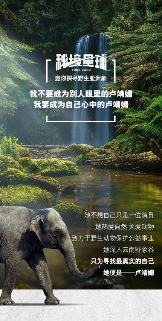 小猫钓鱼开船版最新版下载
