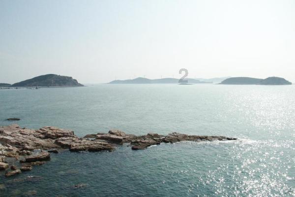 黑龙江打掉涉油团伙36个