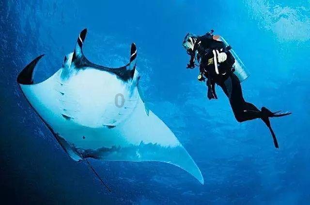 海贼船
