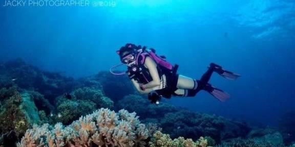临沂沂河新区普法宣传赶“大集”