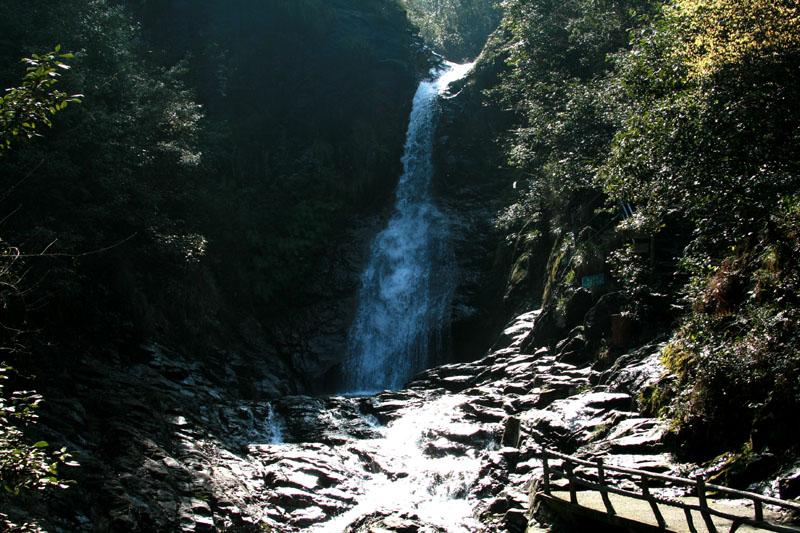 海岛冲浪