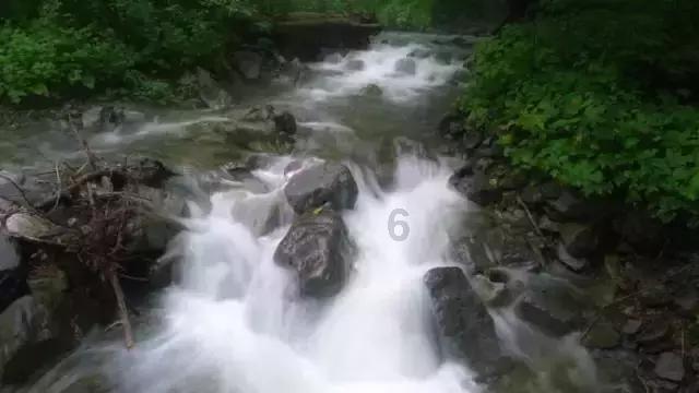 徐帆素颜带娃探班，冯小刚冷漠引争议，17岁养女高挑被赞像王祖贤