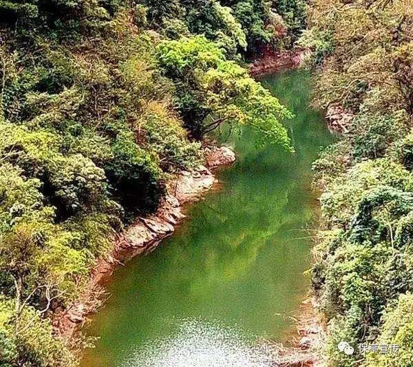 弹球突破