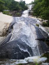白海林在阿右旗调研骆驼产业发展情况
