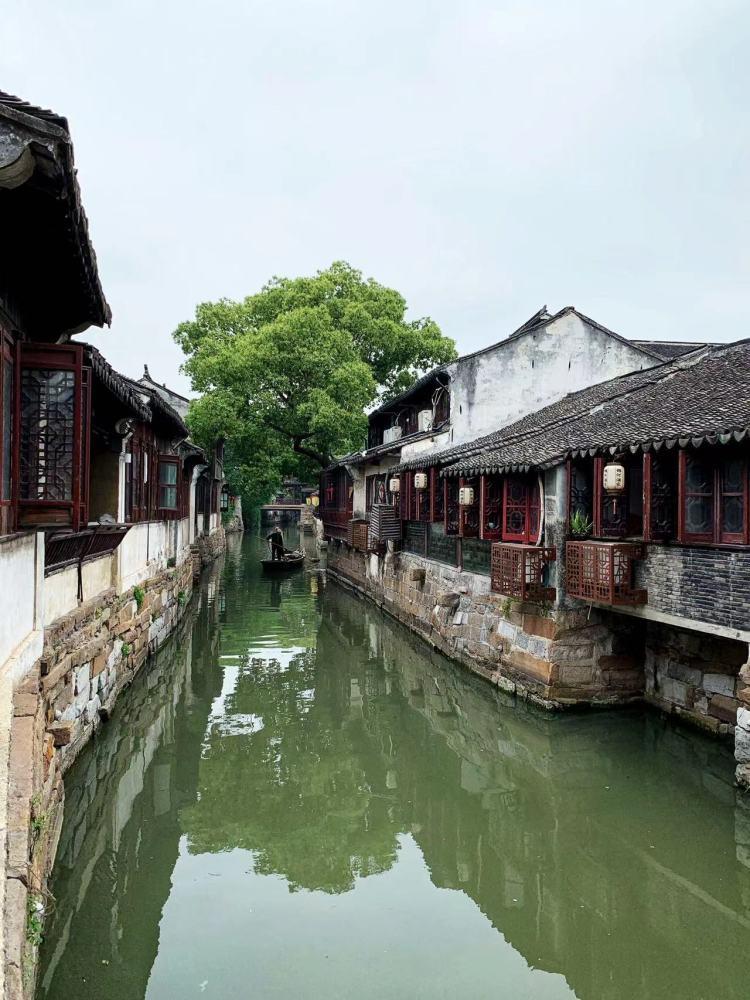 拯救垒球运动员